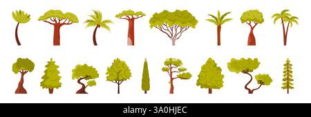 Forest and garden tree set. Spring and summer collection of green trees with tropical Banana and Coconut, Date Palm and evergreen Common Spruce, Baobab and English Oak cartoon vector illustration Stock Vector