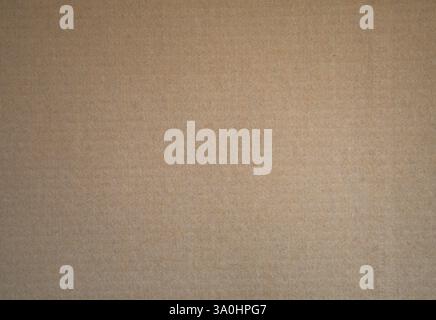 Background texture of crumpled cardboard Stock Photo