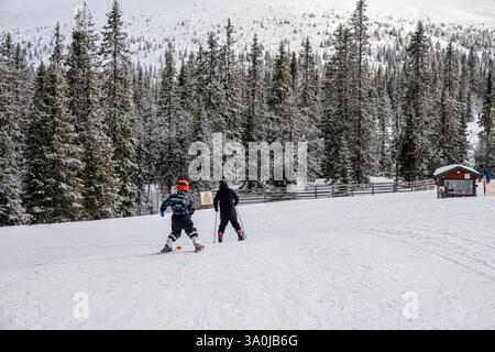 Two skiers a child and an adult in snowy landscape with pine trees. Trysil, Norway - February 27, 2025. Stock Photo