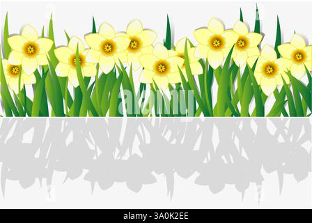Spring banner with daffodils. Stock Vector