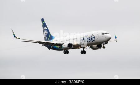 Everett, WA, USA - February 23, 2025; Boeing 737-900 of Alaska Airlines with brand colors landing with wheels down registration N413AS Stock Photo