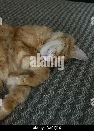 A ginger cat is lying on a patterned fabric surface with its eyes closed and paws curled in a relaxed position. The cat's fur is fluffy and well-groom Stock Photo