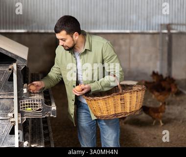 Farmer gathering fresh eggs inside hen house Stock Photo