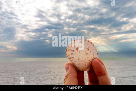 A hand holds a delicate comb shell with red and burgundy spots, with a soft-focus background of sand, water, and a dramatic sky with sun rays. Stock Photo