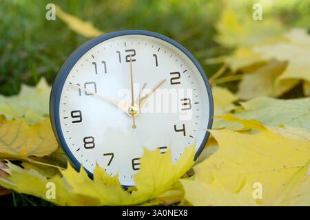 Autumn time. Alarm clock among fallen leaves on green grass, closeup Stock Photo