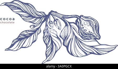 Cocoa label. Vector hand drawn branch of chocolate beans, texture leaves, aroma fruit. Organic butter. Texture illustration for food design Stock Vector