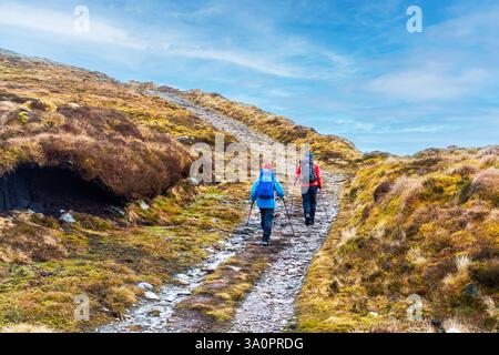 Two walkers going up the path to Little Wyvis corbett mountain near Garve in Scotland Stock Photo