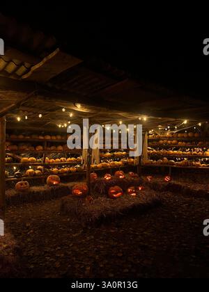 A spooky Halloween night scene featuring a dark, mysterious gazebo surrounded by an array of intricately carved pumpkins. Stock Photo