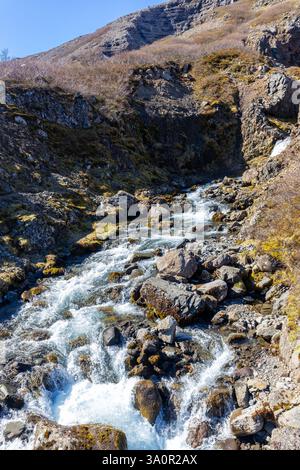 Wild river stream cascading from Valagil waterfall in Alftafjordur, Westfjords in Iceland, with rocky volcanic riverbed and rocks covered with moss. Stock Photo