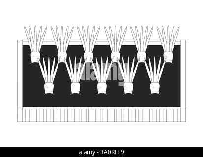 Raised garden bed with growing carrots in soil 2D line object Stock Vector