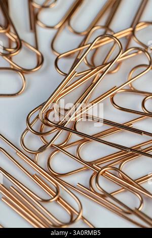 paper clips made of metal for documents and paper, large copper paper clips lie on white blank paper , close up Stock Photo