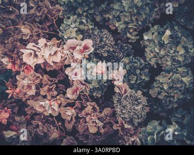Moody and dark artificial flower arrangement featuring pink and blue blossoms. A decorative floral display of delicate fake flowers. Stock Photo