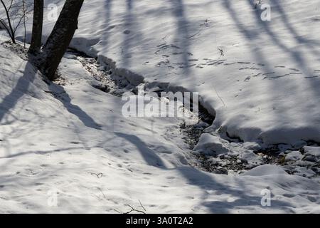 Spring streamlet flows between white snowdrifts and glitters in the bright sunlight Stock Photo