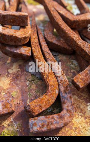Rusted, large, rectangular-shaped nails with flat, wide tips and almost cubic ends, used for pulling logs out of water Stock Photo
