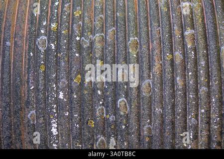 Close-up of a rusted gearwheel with worn teeth, highlighting its aged and industrial texture Stock Photo