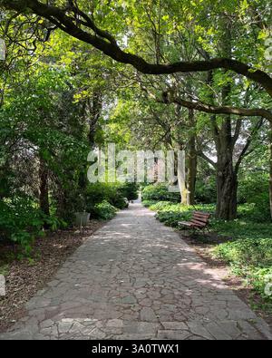 Straight path in green garden. Summer morning in a park - beams of light among trees. Stock Photo