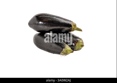Three black eggplants are sitting on a white background. The eggplants are all different sizes and are all facing the same direction Stock Photo