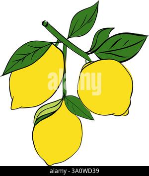 lemon branch hand drawn vector graphic line ink style Retro illustration of tropical citrus fruit. Best for menu and package designs. Stock Vector