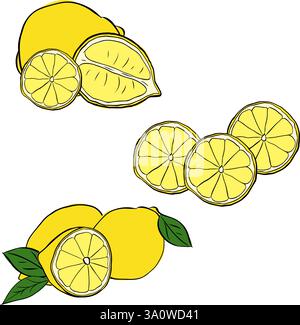 Lemons vector composition set, graphic line ink illustration. Vector isolated whole and slices citrus with leaves on transparent background Stock Vector