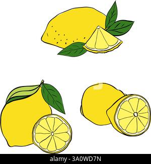 lemons with leaves composition set. Vector graphic line ink illustration. Exotic sour juicy fruit. Yellow citrus. Citric whole and slices. Natural twi Stock Vector