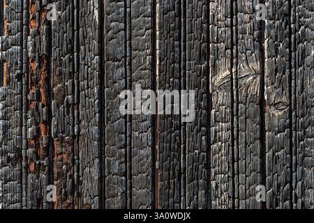Charred wooden planks on a bright sunny day. Texture macro. Close-up background of burnt vertical wood boards. Scorched wooden wall surface. Stock Photo