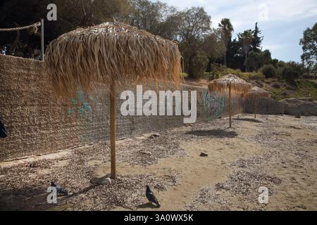 Palm Leaf Parasols on empty  Vouliagmeni Beach Attica Greece Stock Photo