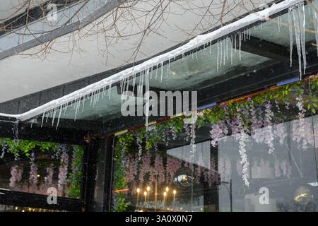Toronto, ON, Canada - February 27, 2025: Icicles hang from a snowy roof above a window with flower decorations. Stock Photo
