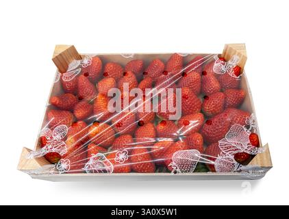 Ripe strawberries arranged in wooden crate and packed with plastic foil isolated on white with clipping path included Stock Photo