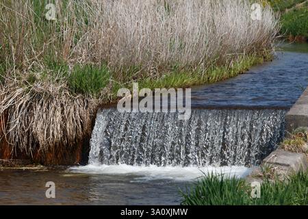 Water flowing over a weir dam in a small river flowing through rice fields Stock Photo