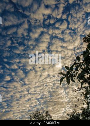 An awesome cotton ball clouds formation at the early  morning, over the farm lands of the eastern Andean mountains of central Colombia. Stock Photo