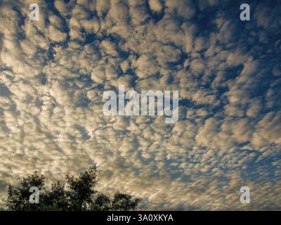 An awesome cotton ball clouds formation at the early  morning, over the farm lands of the eastern Andean mountains of central Colombia. Stock Photo