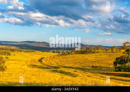 Picturesque rural landscape bathed in the late afternoon light on a summer's day in the Monaro Region, NSW, Australia Stock Photo