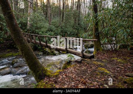 Footbridge Over Rushing Water in Creek in the Smokies on the Old Settlers Trail Stock Photo