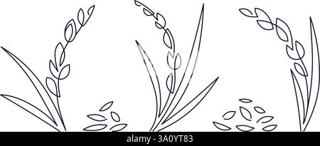 Grain line set. One line drawing of rice, wheat, barley, rye. Healthy nutrition. Organic farm food. Element for label, menu, package. Cereal porridge, Stock Vector