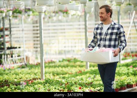 Florist man working in garden center. Successful employee is in a bright greenhouse. Stock Photo