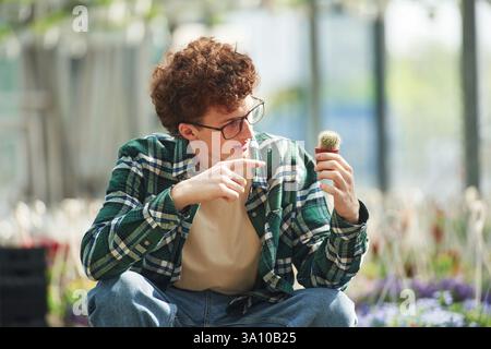 Sitting and holding the little cactus. Young man with curly hair and in glasses is in greenhouse. Stock Photo
