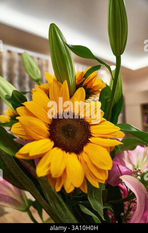 Close-up of a vibrant yellow sunflower in a mixed floral bouquet with green lily buds and pink lilies in an indoor domestic setting. Stock Photo