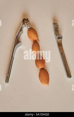 Composition of organic local almonds, both shelled and in their husks, on a wooden surface in Amendolara, Calabria, Italy Stock Photo