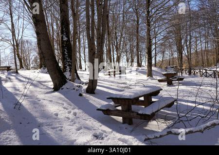Wooden picnic tables covered in deep snow in a beech forest, Sila National Park, Calabria, Italy. Stock Photo