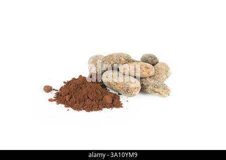 Cocoa beans with cacao powder isolated on white background, healthy natural oil Stock Photo