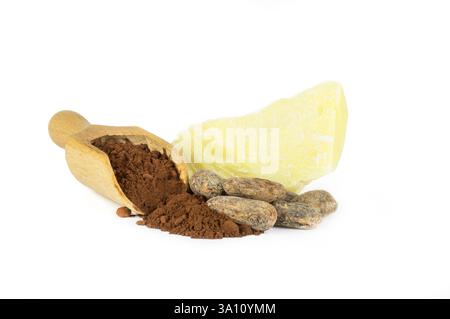 Cocoa butter or Cocoa bean solid oil with cacao powder in spoon and raw cocoa beans isolated on white background, healthy natural oil Stock Photo