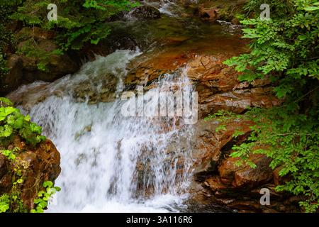Stream or creek flowing on the rocks in the forest in the summer. Stock Photo