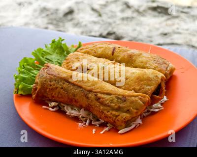 A plate of crispy fried spring rolls served with fresh lettuce and shredded cabbage by the beach Stock Photo