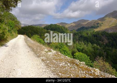 mountain dirt road through forest of Sutjeska National Park, Bosnia and Herzegovina Stock Photo