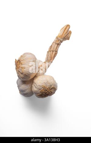 A garlic grappe is a beautifully bundled arrangement of garlic bulbs isolated on a white background Stock Photo