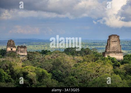 Mayan Temples Emerging From The Jungle At Tikal National Park mayan-temples-emerging-from-the-jungle-at-tikal-national-park