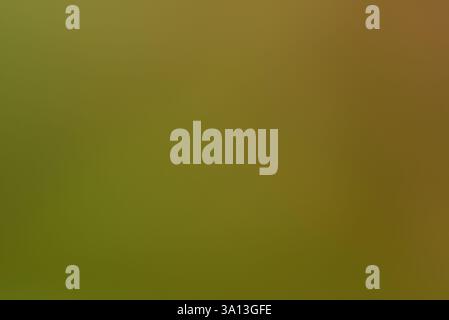 A colorful pastel green and brown background Stock Photo