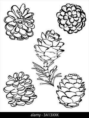 Pinecone whimsical vector illustration on isolated background Stock Vector