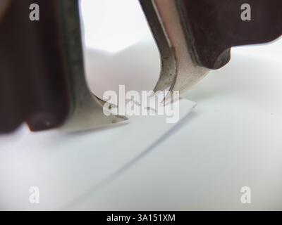Staple pin remover on white background. Stock Photo