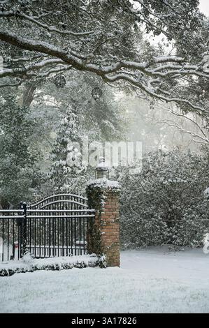 Snow-covered iron gate and brick pillar under frosty tree branches Stock Photo